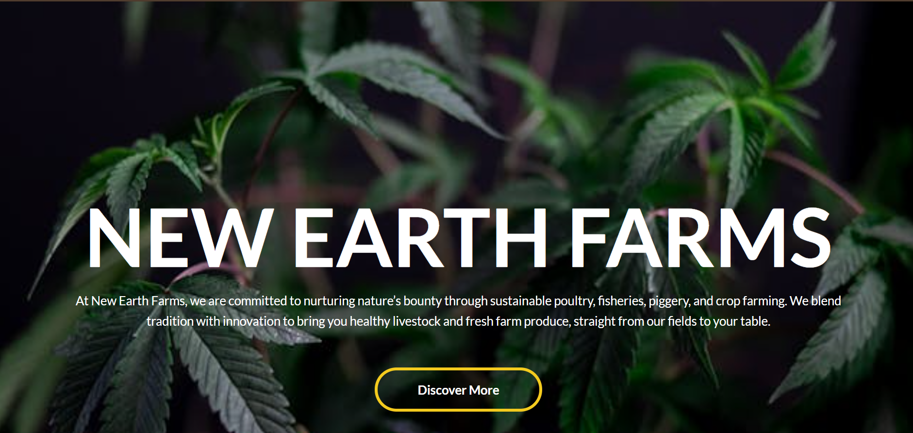 New earth Interface